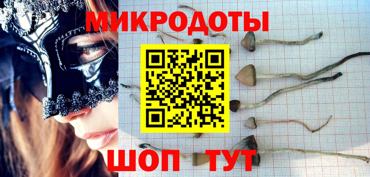 Галлюциногенные грибы мицелий  Псилоцибиновые грибы Psilocybine cubensis  Вход с VPN  Воронеж 