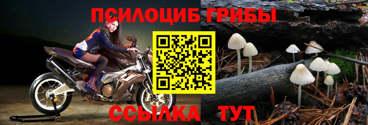 Псилоцибиновые грибы Cubensis Воронеж